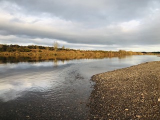 A fine February day at Kercock