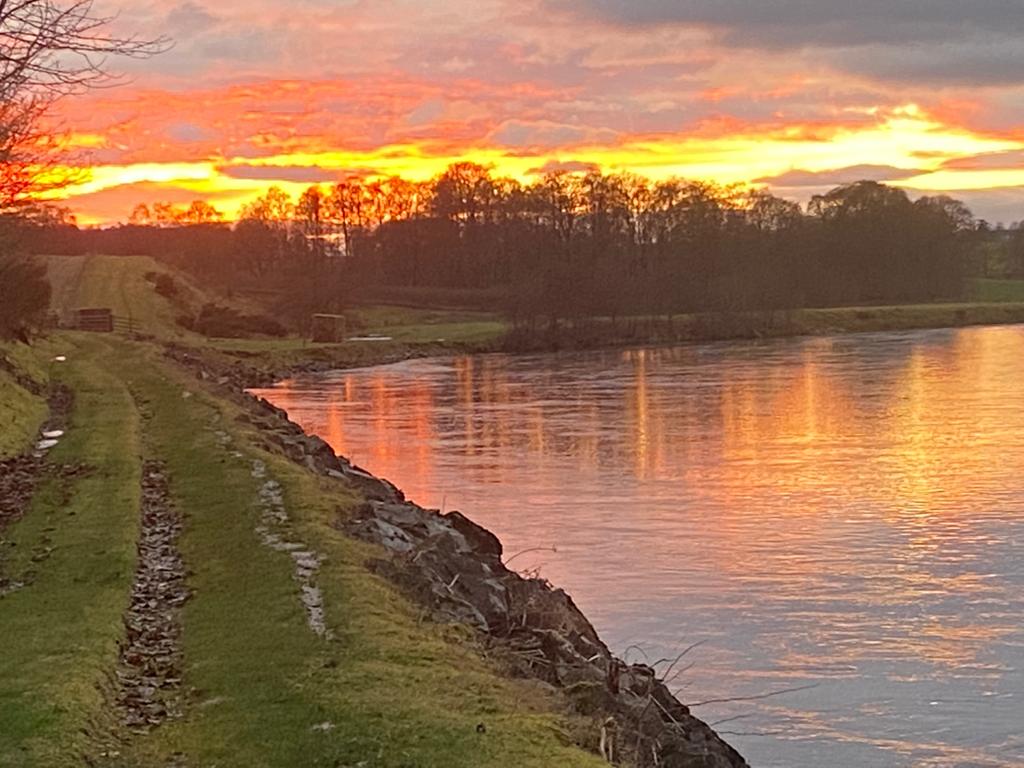 Boatlands pool bathes in the beauty of a January sunset!
